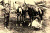 Chadron-win.JPG (83989 bytes)