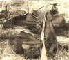 Nott-saddles.JPG (66937 bytes)