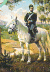 wpe19745.gif (51412 bytes)