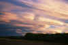 Saskia-sunset.jpg (136563 bytes)