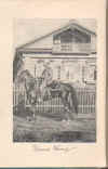 Stevens.jpg (67835 bytes)