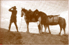 wpe6.gif (88311 bytes)
