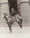 beck & pinto at austin.jpg (298499 bytes)
